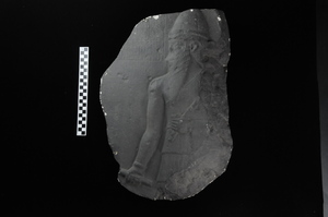 B9479