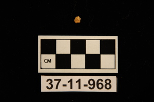 37-11-968