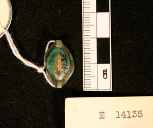 E14135