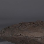 216378