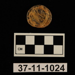 216481