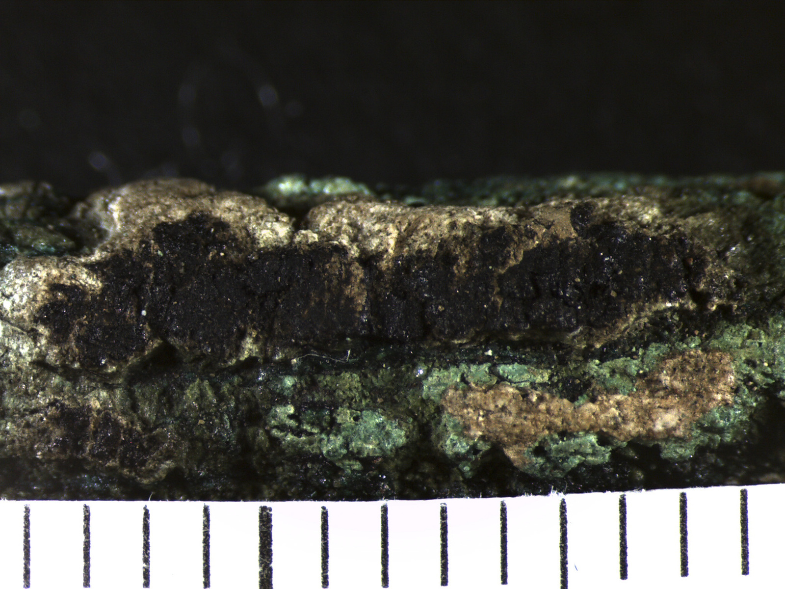 216859