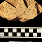 218108