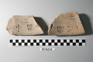 B16234