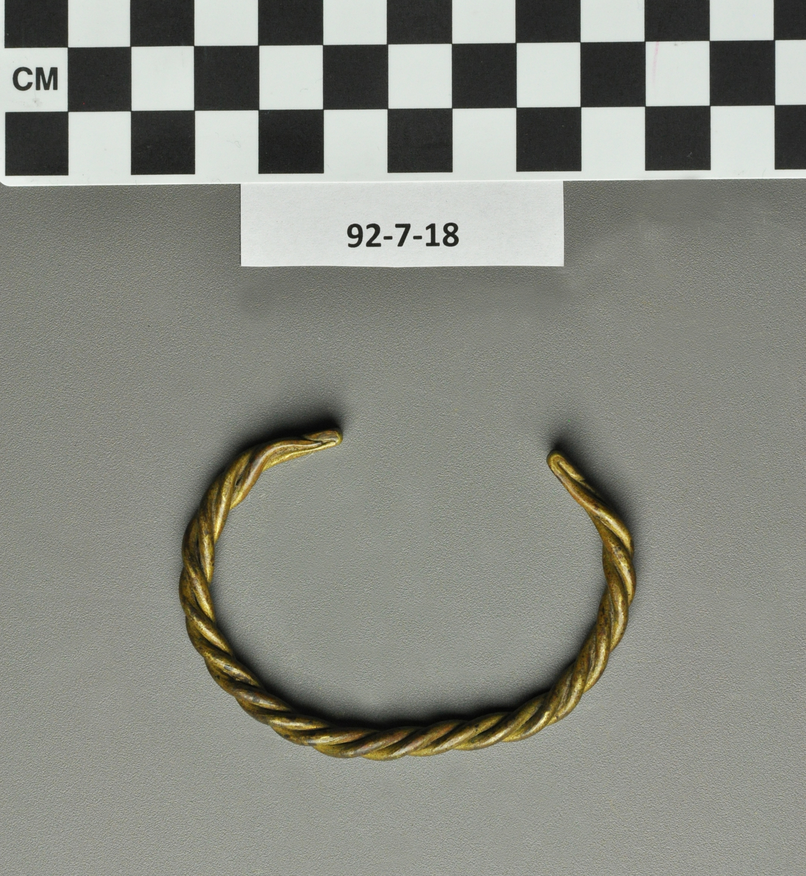 218829
