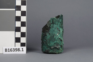 B16398.1