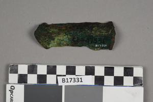 B17331