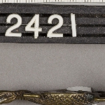 228603