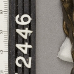228615