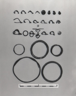 MS1021