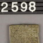 229731