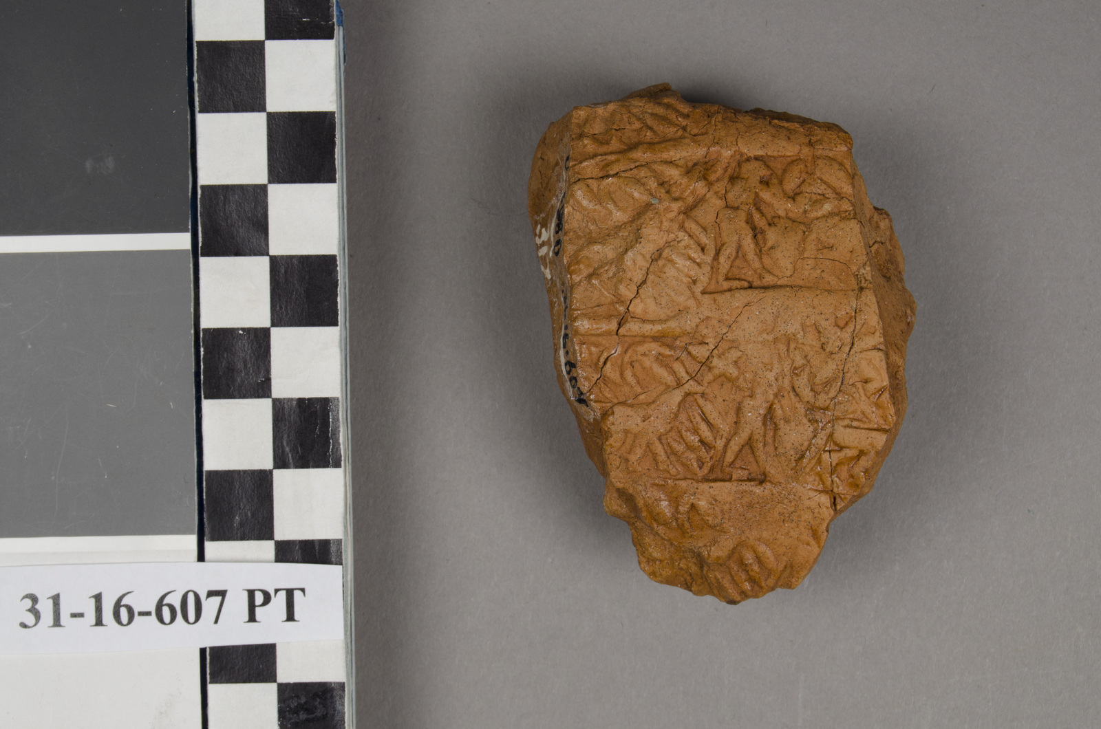 232154