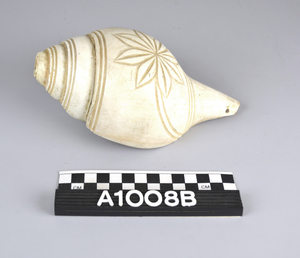 A1008B