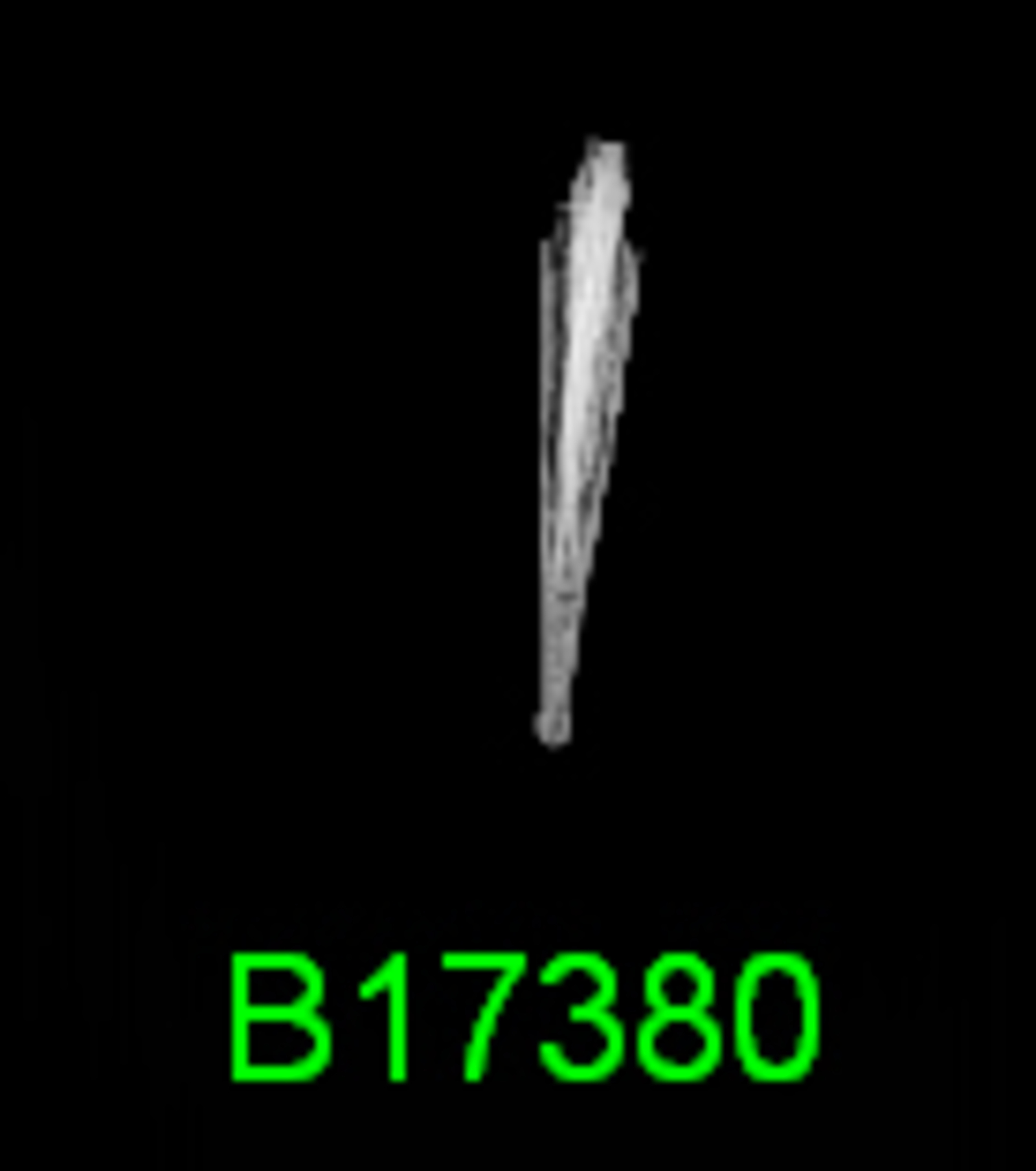 232945