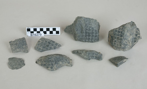 B16279