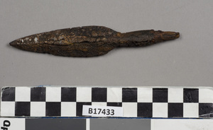 B17433