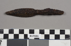 B17431