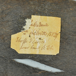 234605