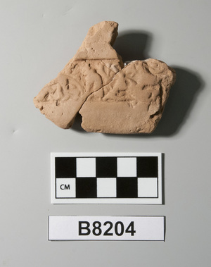 B8204