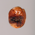 242784