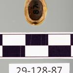 242808