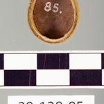 242809