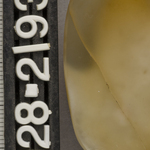 242890