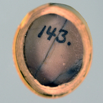 244363