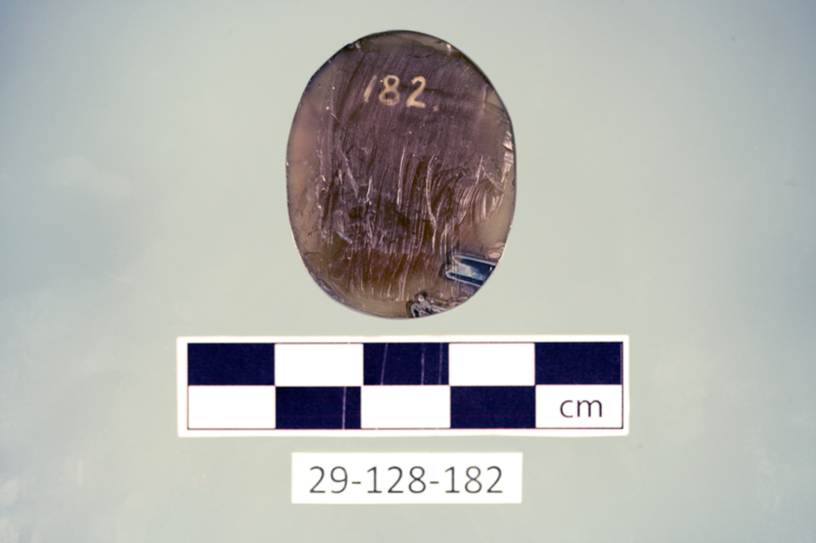 244393