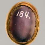 244403
