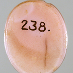 245438