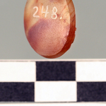 245443