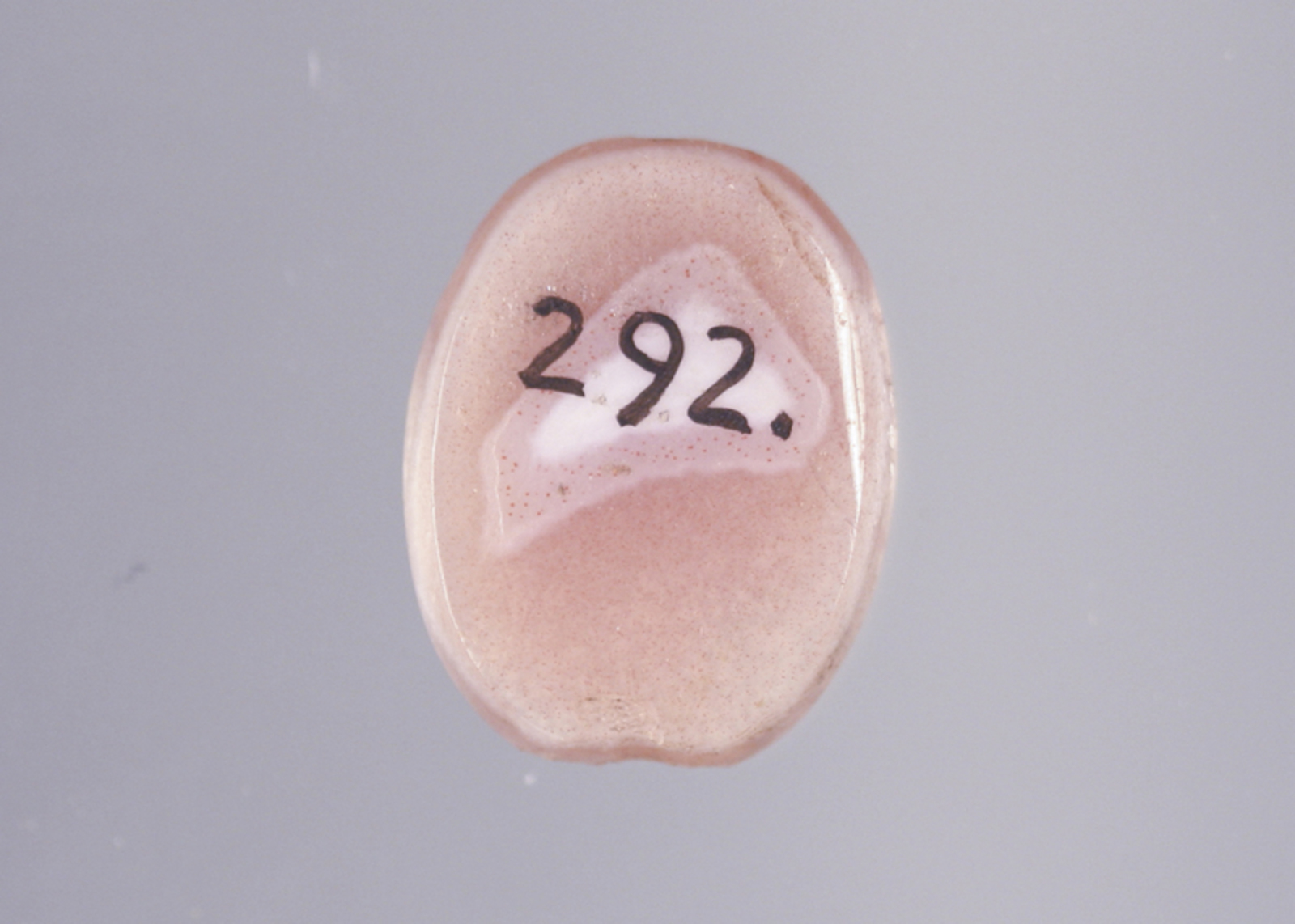 245461