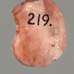 245462
