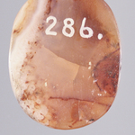 245497