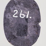245504