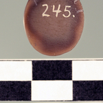 245520