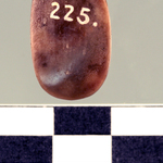245524