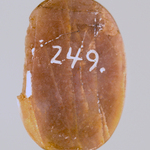 245526