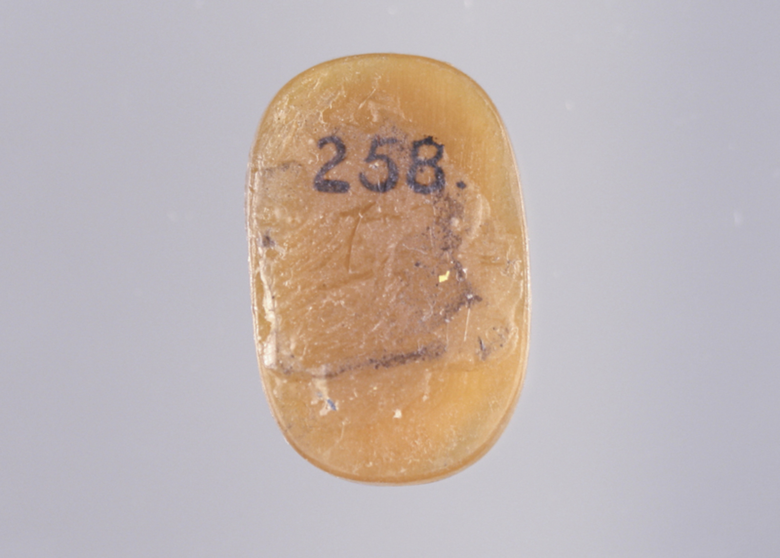 245546