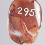 245549
