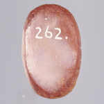 245556