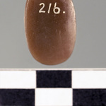 245561