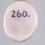 245563
