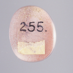 245564