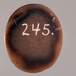 245566