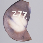 245569