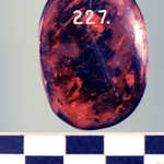 245572