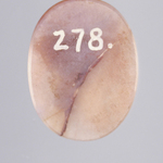 245575