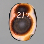 245581